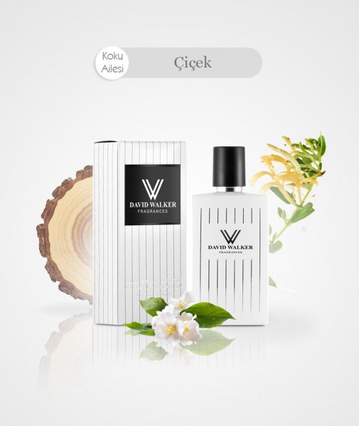 Damen Parfum - GLASOW B21