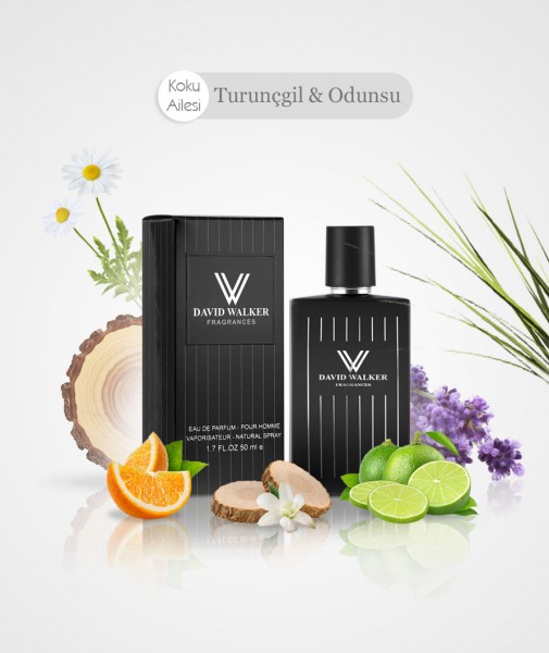 Herren Parfum - NONSES E54