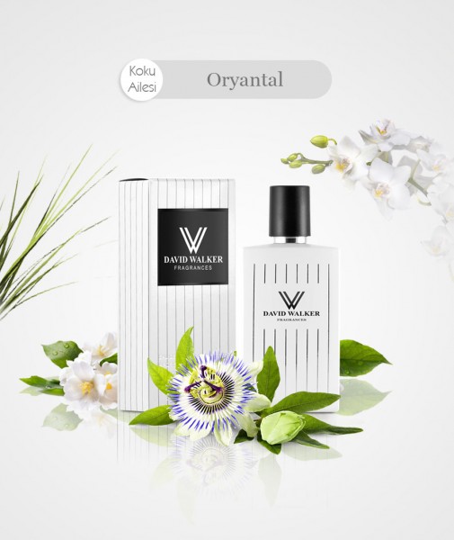 Damen Parfum - ELAGNUS B73