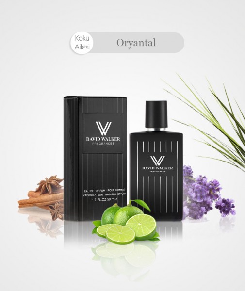 Herren Parfum - VITALI E167