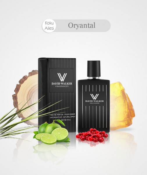 Herren Parfum - STRAOS E76