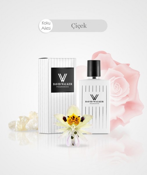 Damen Parfum - TRAUMGERUCH B173