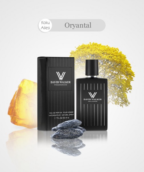 Herren Parfum - MORRIS E161