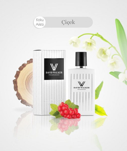 Damen Parfum - DRAGSTAR B51