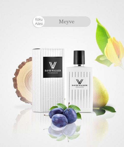 Damen Parfum - BLACKNIGHT B110