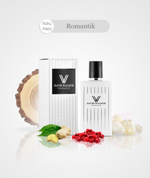 Damen Parfum - LEADER B149