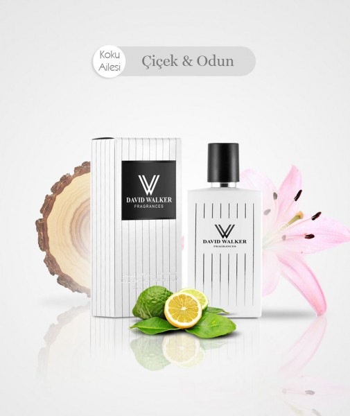 Damen Parfum - LORDEL B101