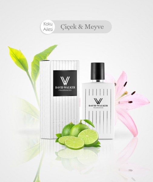 Damen Parfum - AGETTI B20