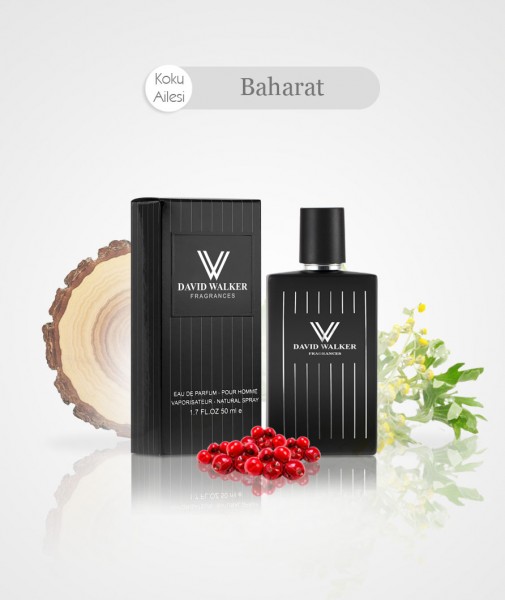 Herren Parfum - INTEN E126