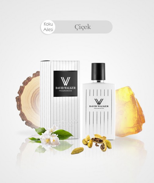 Damen Parfum - RODIN B10