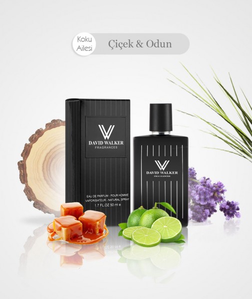 Herren Parfum - VICTOR E31