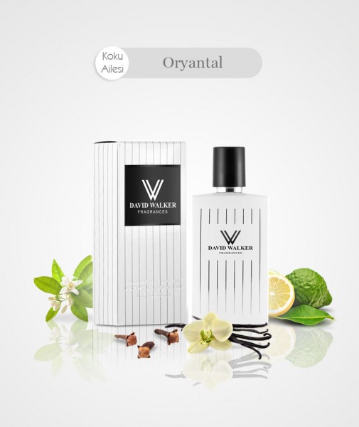Damen Parfum - VINCET B118
