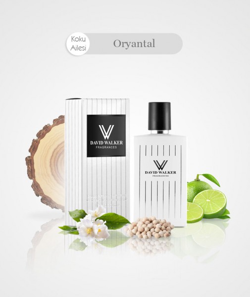 Damen Parfum - NONSES B150