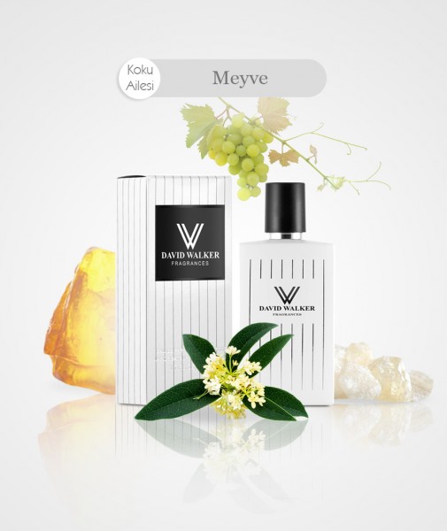 Damen Parfum - PILLYREA B43