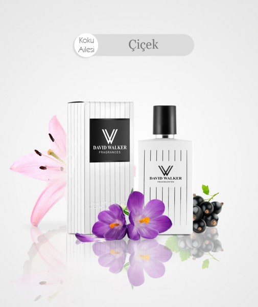 Damen Parfum - EZILO B96