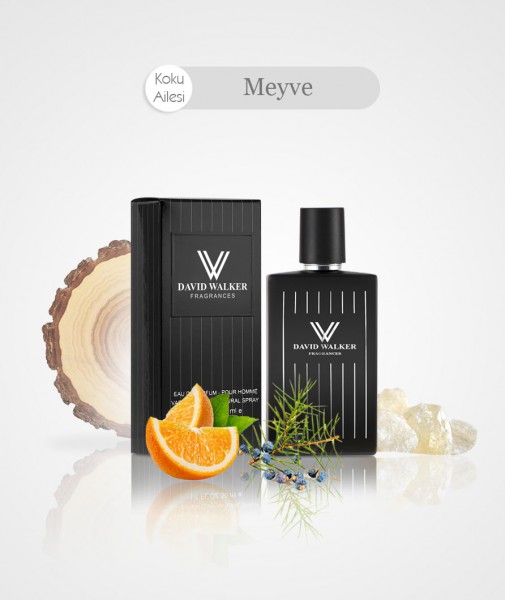 Herren Parfum - SEPEEK E121