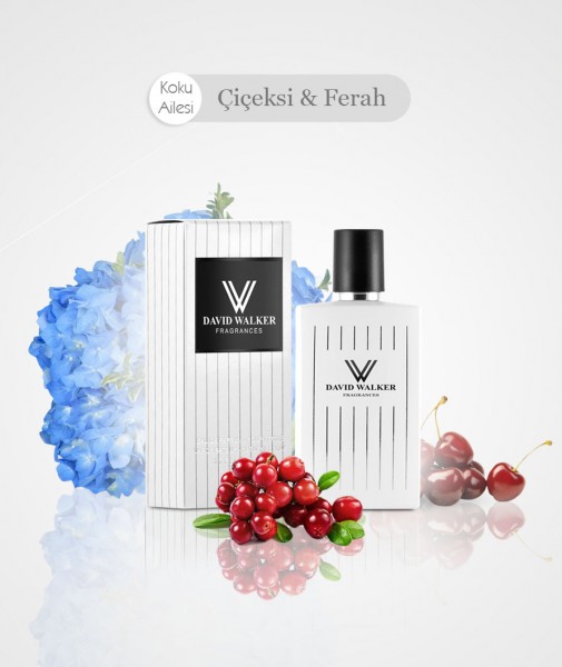 Damen Parfum - WISHD B159