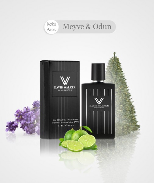 Herren Parfum - ELIOS E41