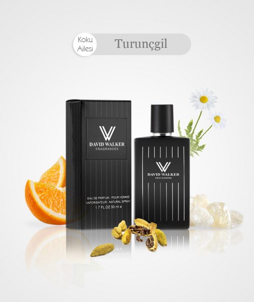 Herren Parfum - MANIA E7