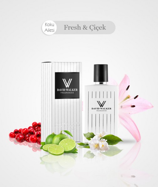 Damen Parfum - NIDOR B28
