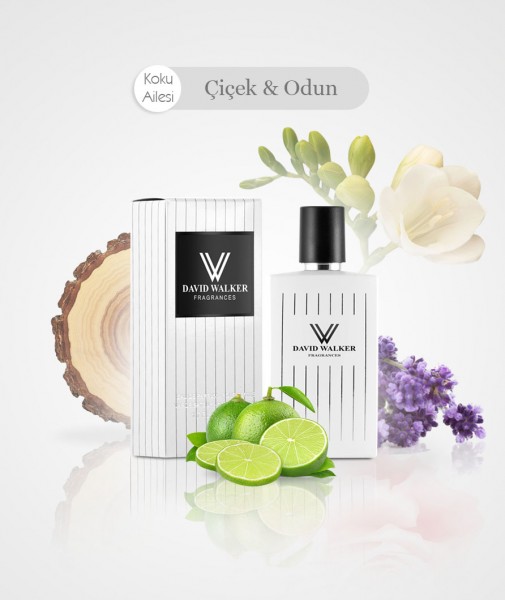 Damen Parfum - EDELFI B31