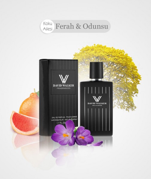 Herren Parfum - ACQUA E168