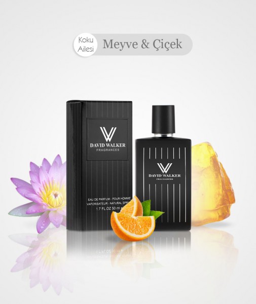 Herren Parfum - BLUE MOTION E164