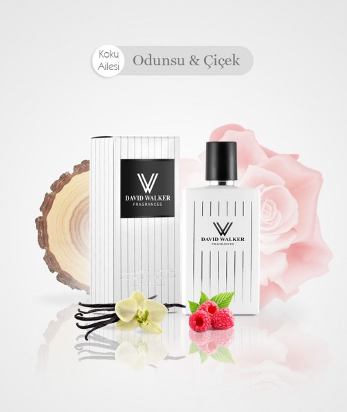 Damen Parfum - EVOLE B14