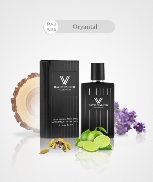 Herren Parfum -BRADY E147