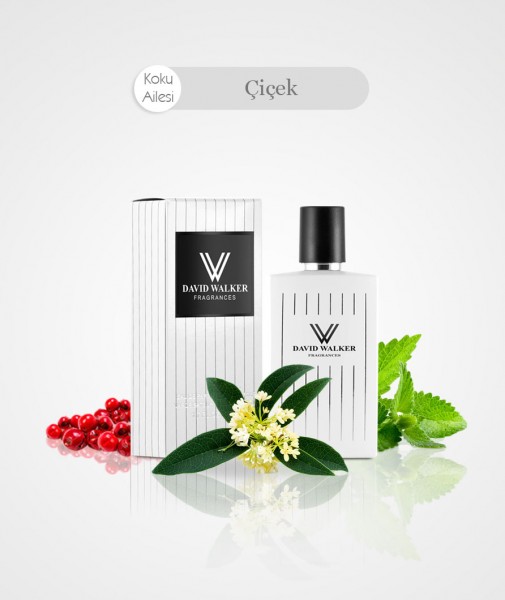 Damen Parfum - VINCA MAJOR B53