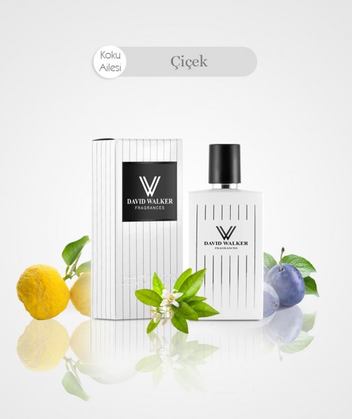 Damen Parfum - DOBERTO WAVALLI B208
