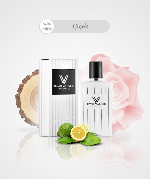 Damen Parfum - POWER B100