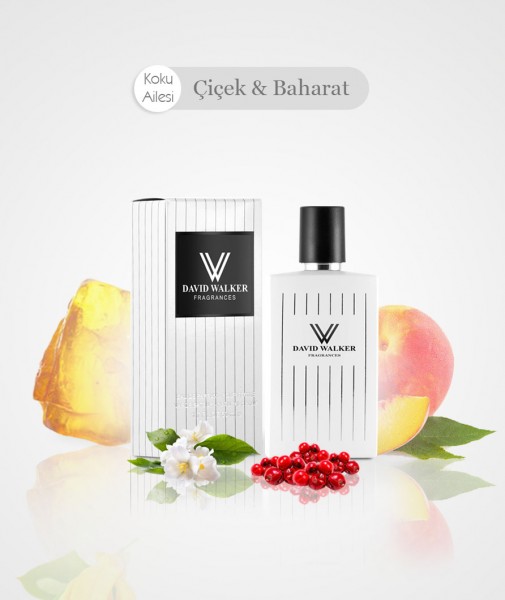 Damen Parfum - MARROW B176