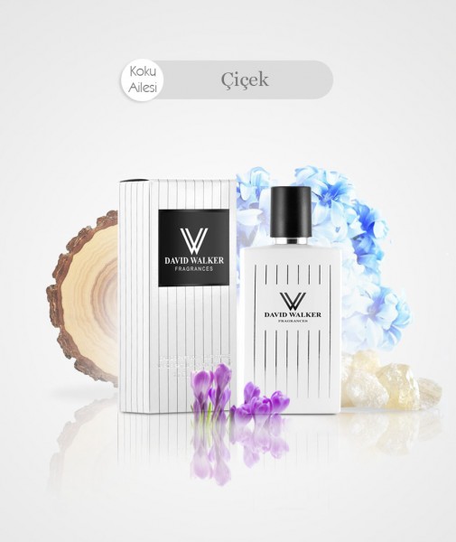 Damen Parfum - HOLLYWOOD B17
