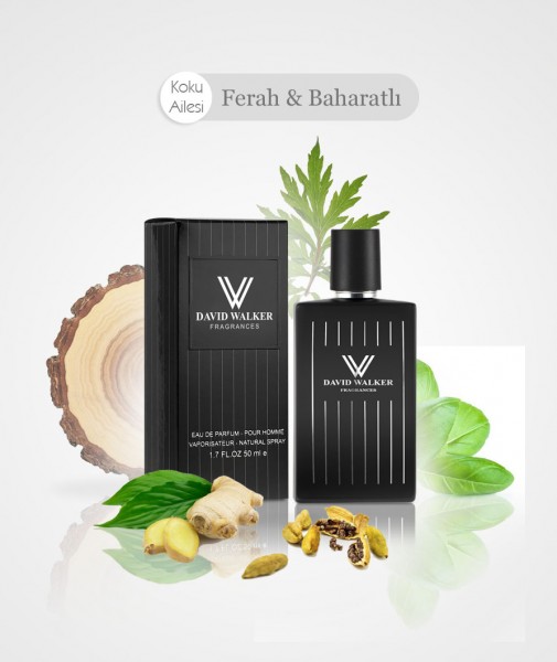 Herren Parfum - SURE E94