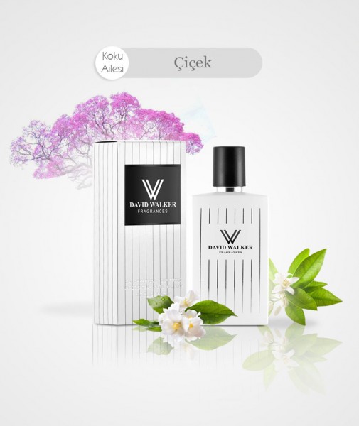 Damen Parfum - LUCRETTI B11