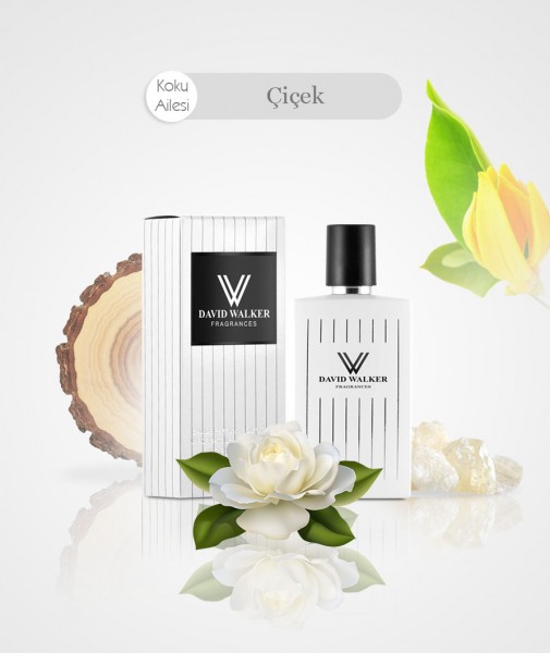 Damen Parfum - BLANC B157