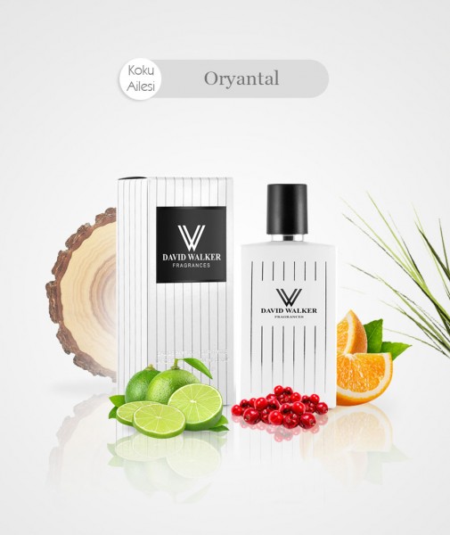Damen Parfum - BRISELI B174