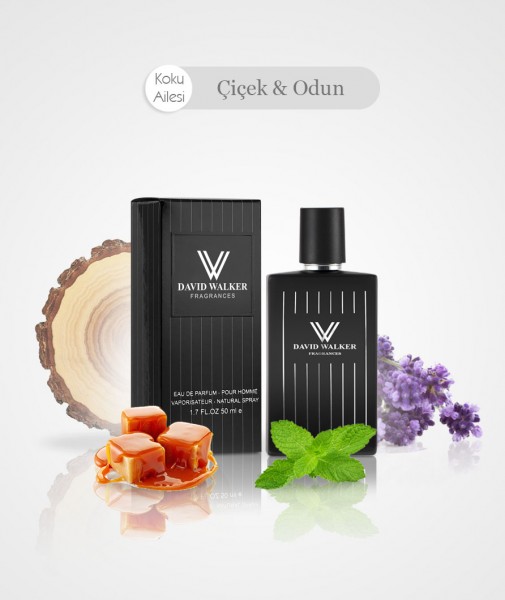 Herren Parfum - CARAVEL E30