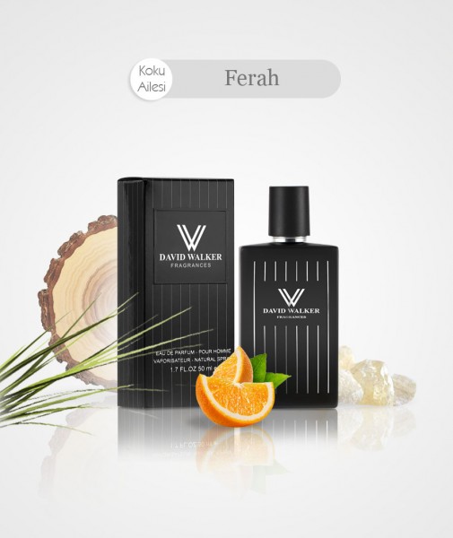 Herren Parfum - WOLFF E112