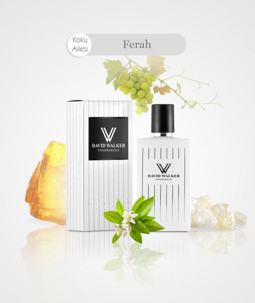 Damen Parfum - THE WISH B175