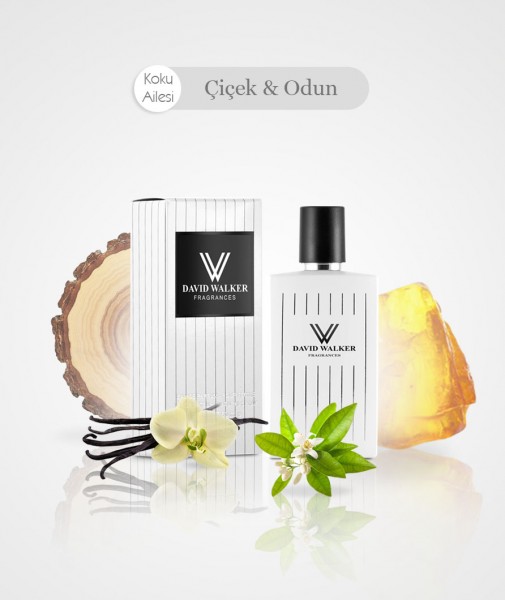 Damen Parfum - ORNELLO B24